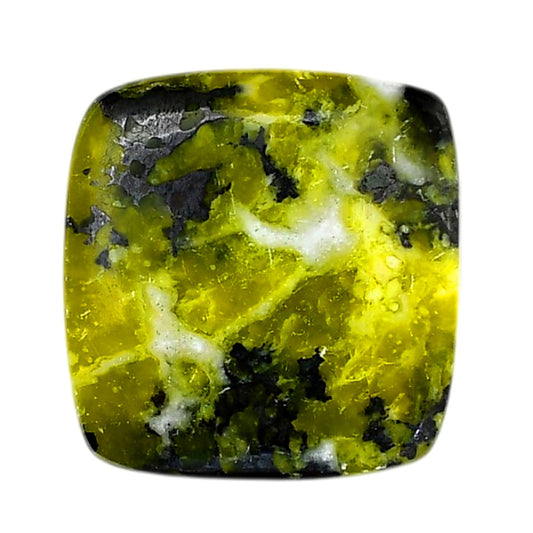 Lizardite 27x28.2x5.5 mm Cushion Shape Polished Gemstone LS108-06175