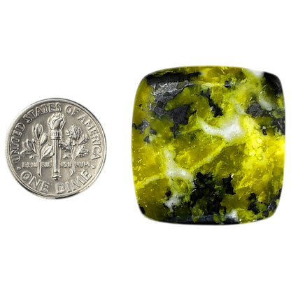 Lizardite 27x28.2x5.5 mm Cushion Shape Polished Gemstone LS108-06175