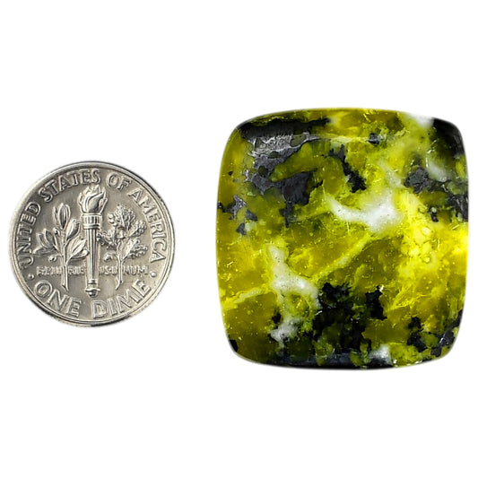 Lizardite 27x28.2x5.5 mm Cushion Shape Polished Gemstone LS108-06175