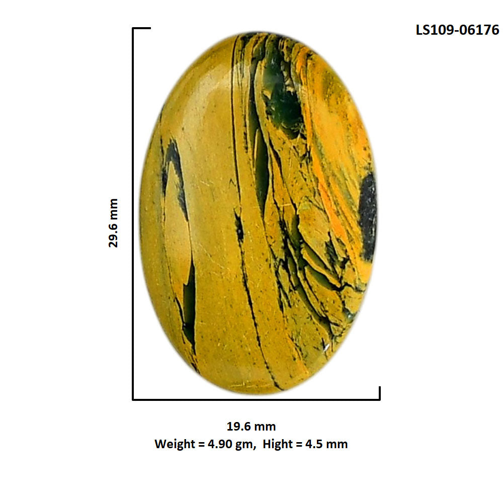 Mariposite 19.6x29.6x4.5 mm Oval Shape Polished Gemstone LS109-06176