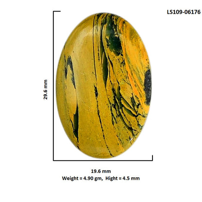Mariposite 19.6x29.6x4.5 mm Oval Shape Polished Gemstone LS109-06176