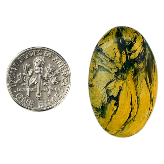 Mariposite 19x30.5x4.8 mm Oval Shape Polished Gemstone LS109-06178