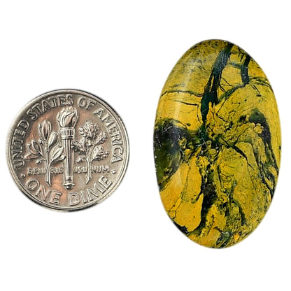 Mariposite 18.6x30x4.5 mm Oval Shape Polished Gemstone LS109-06182
