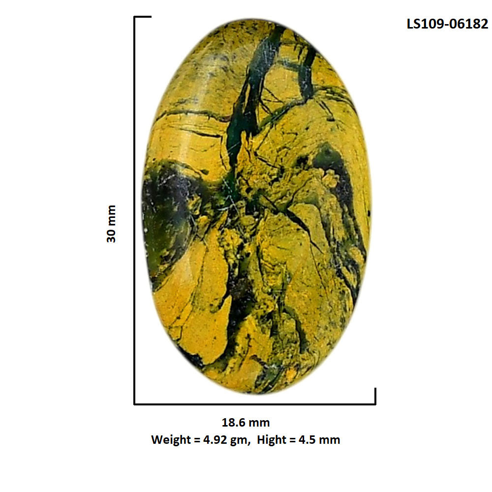 Mariposite 18.6x30x4.5 mm Oval Shape Polished Gemstone LS109-06182