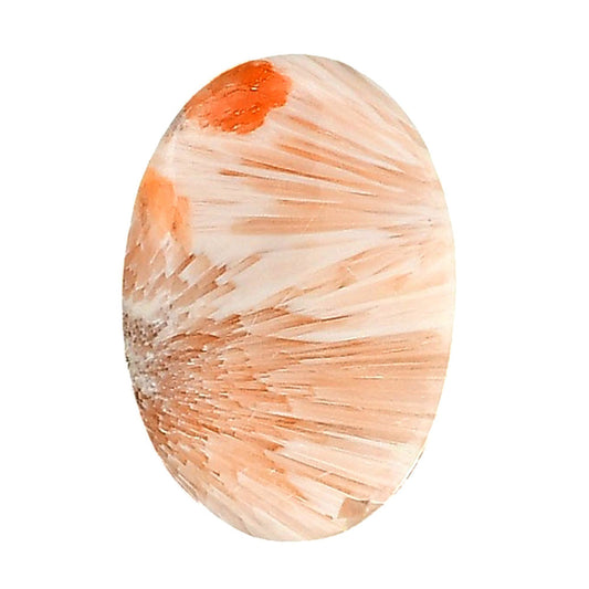 Orange Scolecite 18.2x26.5x5 mm Oval Shape Polished Gemstone LS110-06191