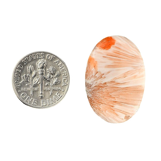 Orange Scolecite 18.2x26.5x5 mm Oval Shape Polished Gemstone LS110-06191