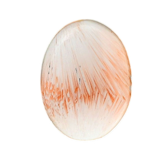 Orange Scolecite 20.4x27x4 mm Oval Shape Polished Gemstone LS110-06192