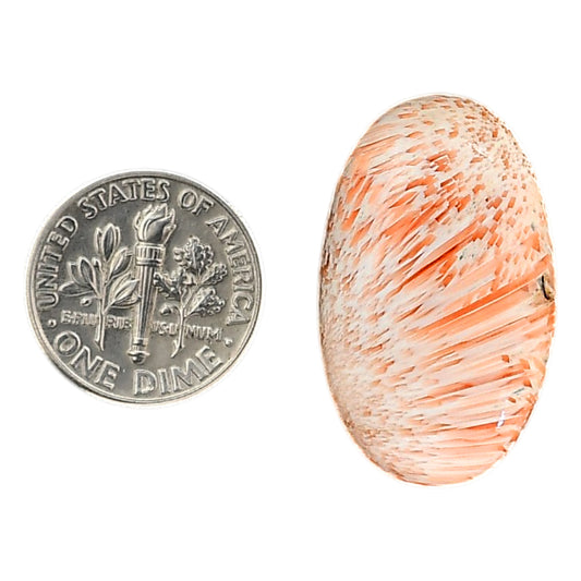 Orange Scolecite 17.7x29.1x5.5 mm Oval Shape Polished Gemstone LS110-06204