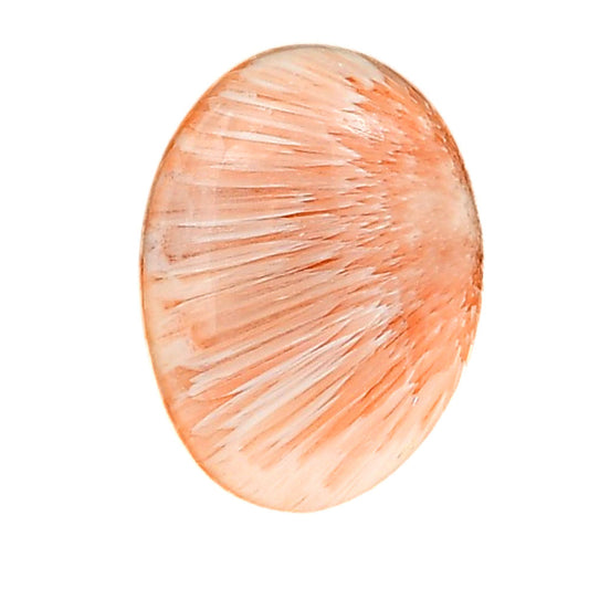 Orange Scolecite 20.3x27.6x6.8 mm Oval Shape Polished Gemstone LS110-06206
