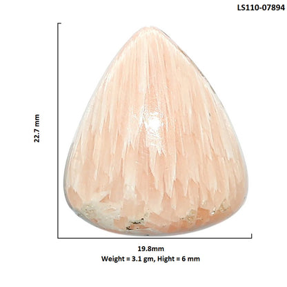 Orange Scolecite 19.8x22.7x6 mm Fancy Shape Polished Gemstone LS110-07894