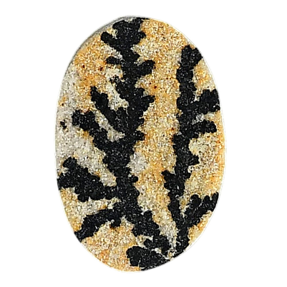 Germany Psilomelane Dendrite 16.5x24.6x5 mm Oval Shape Polished Gemstone LS111-06215