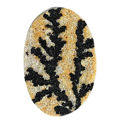 Germany Psilomelane Dendrite 16.5x24.6x5 mm Oval Shape Polished Gemstone LS111-06215