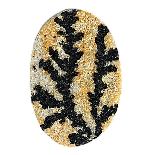 Germany Psilomelane Dendrite 16.5x24.6x5 mm Oval Shape Polished Gemstone LS111-06215