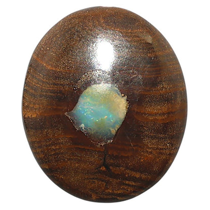 Natural Boulder Opal 25.8x30.6x6 mm Oval Shape Polished Gemstone LS115-010112
