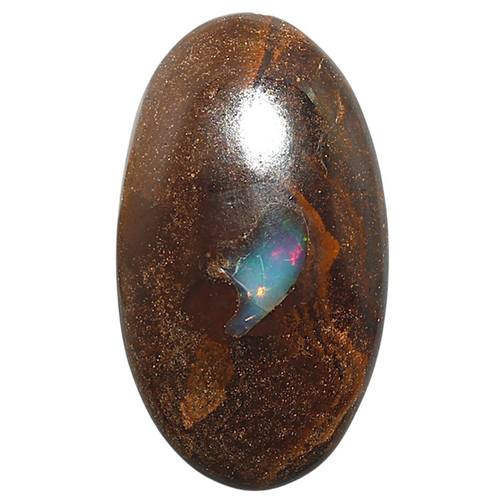 Natural Boulder Opal 21.6x37.8x7.5 mm Oval Shape Polished Gemstone LS115-010119