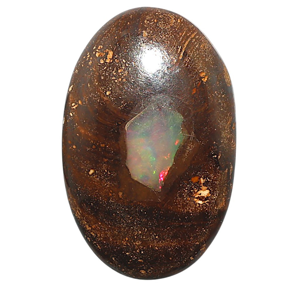 Natural Boulder Opal 23.6x36.75x7 mm Oval Shape Polished Gemstone LS115-010127