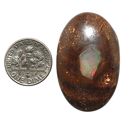 Natural Boulder Opal 23.6x36.75x7 mm Oval Shape Polished Gemstone LS115-010127