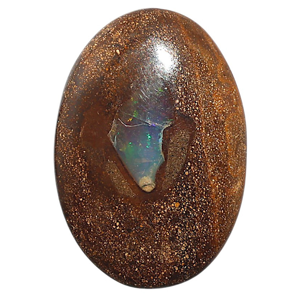 Natural Boulder Opal 25.75x37.5x6 mm Oval Shape Polished Gemstone LS115-010142