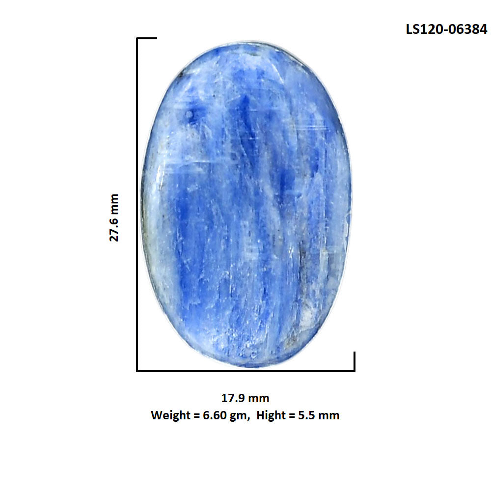 Blue Kyanite 17.9x27.6x5.5 mm Oval Shape Polished Gemstone LS120-06384