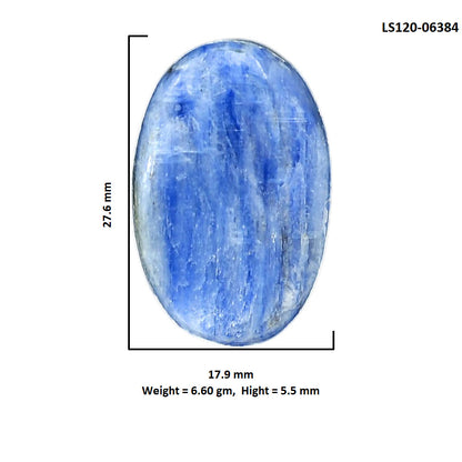 Blue Kyanite 17.9x27.6x5.5 mm Oval Shape Polished Gemstone LS120-06384