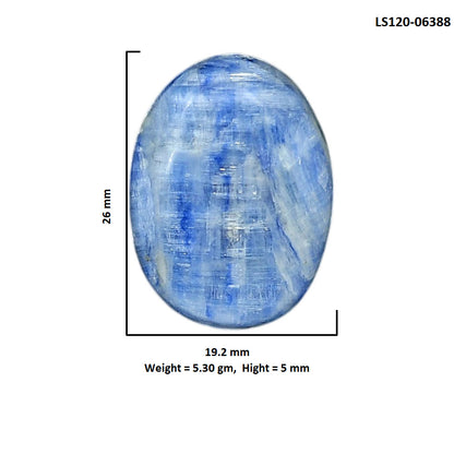 Blue Kyanite 19.2x26x5 mm Oval Shape Polished Gemstone LS120-06388