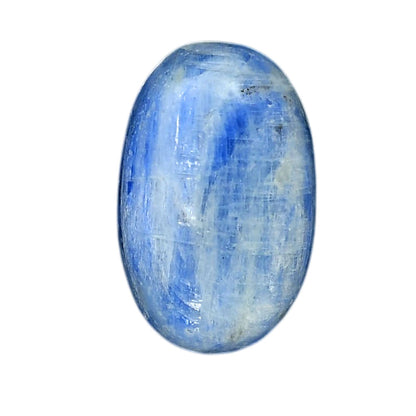 Blue Kyanite 16x25x6.7 mm Oval Shape Polished Gemstone LS120-06389