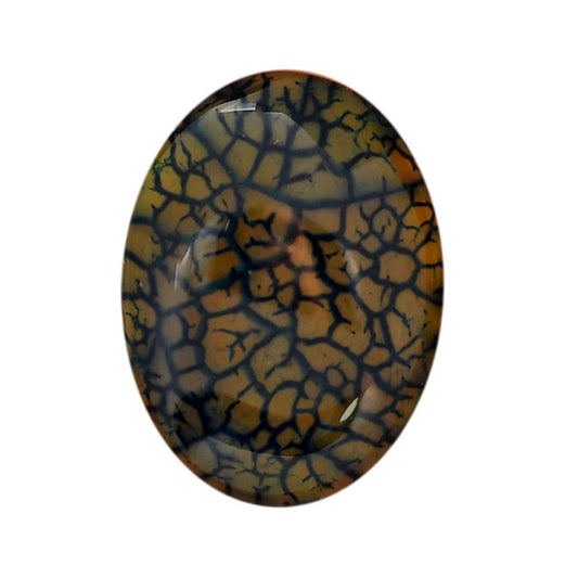 Dragon Vein Agate 21x28x6 mm Oval Shape Polished Gemstone LS126-06529