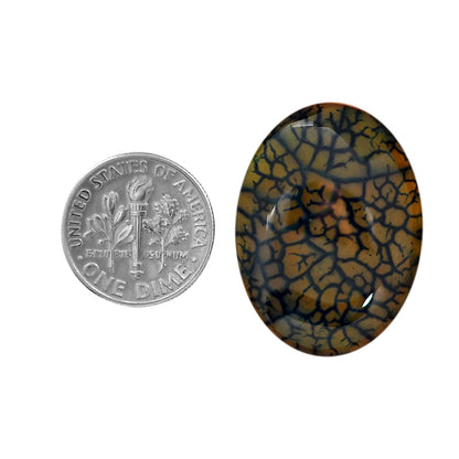Dragon Vein Agate 21x28x6 mm Oval Shape Polished Gemstone LS126-06529