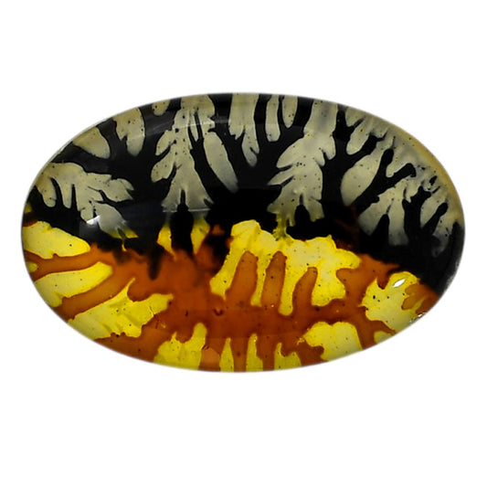 Dendritic Agate Doublet 20.55x32.8x7 mm Oval Shape Polished Gemstone LS127-06538