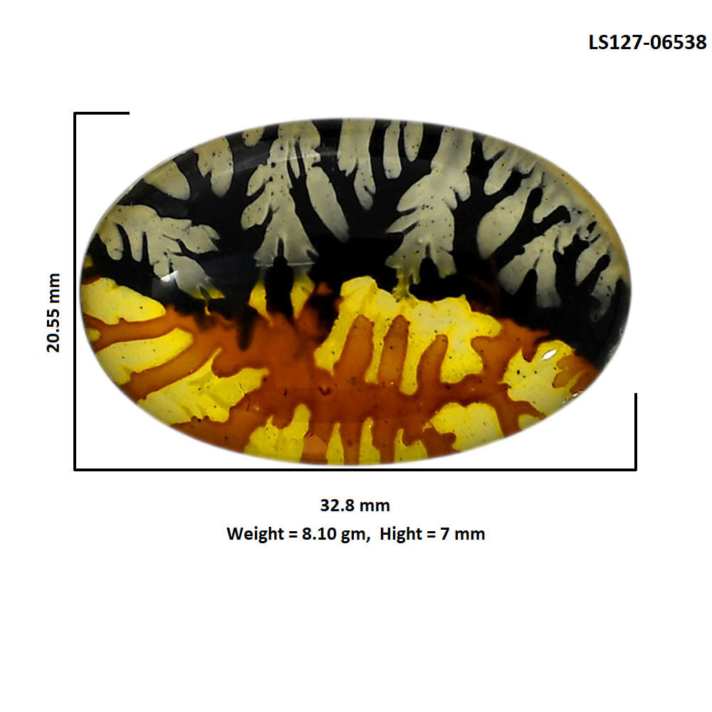 Dendritic Agate Doublet 20.55x32.8x7 mm Oval Shape Polished Gemstone LS127-06538