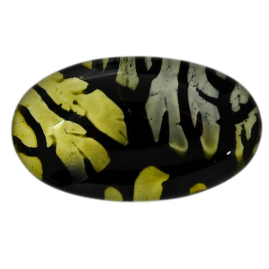 Dendritic Agate Doublet 18.45x32x7 mm Oval Shape Polished Gemstone LS127-06539