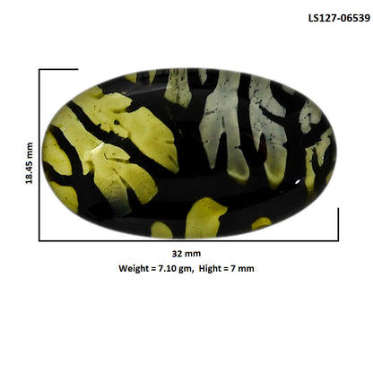 Dendritic Agate Doublet 18.45x32x7 mm Oval Shape Polished Gemstone LS127-06539