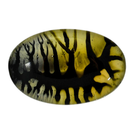 Dendritic Agate Doublet 20x31x7.3 mm Oval Shape Polished Gemstone LS127-06540
