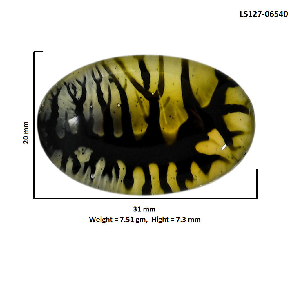 Dendritic Agate Doublet 20x31x7.3 mm Oval Shape Polished Gemstone LS127-06540