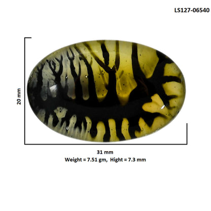 Dendritic Agate Doublet 20x31x7.3 mm Oval Shape Polished Gemstone LS127-06540