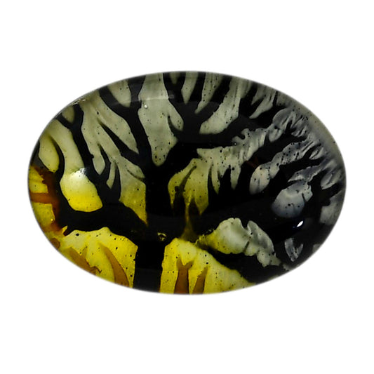 Dendritic Agate Doublet 20.3x29x7.3 mm Oval Shape Polished Gemstone LS127-06543
