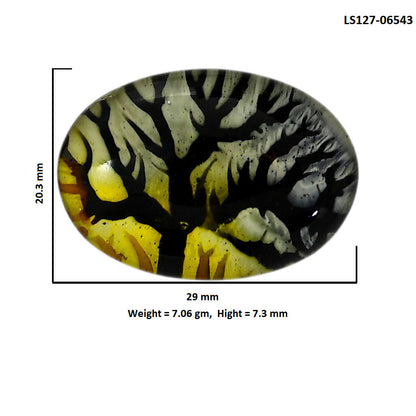 Dendritic Agate Doublet 20.3x29x7.3 mm Oval Shape Polished Gemstone LS127-06543