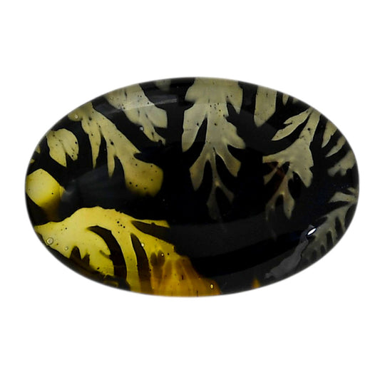 Dendritic Agate Doublet 21.4x32.4x7.5 mm Oval Shape Polished Gemstone LS127-06544