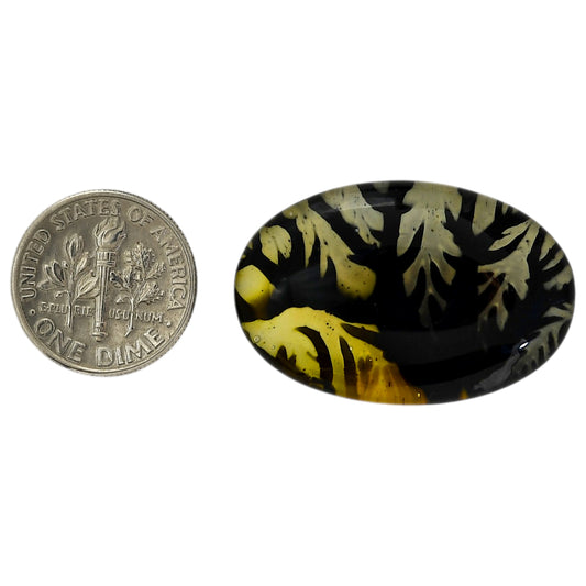 Dendritic Agate Doublet 21.4x32.4x7.5 mm Oval Shape Polished Gemstone LS127-06544