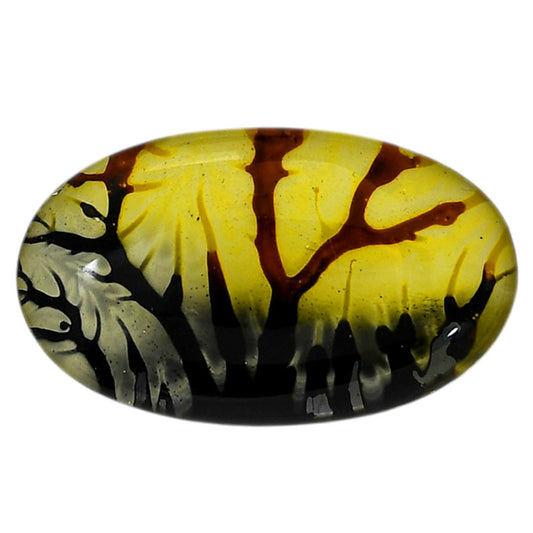 Dendritic Agate Doublet 20.6x34.55x7.3 mm Oval Shape Polished Gemstone LS127-06545