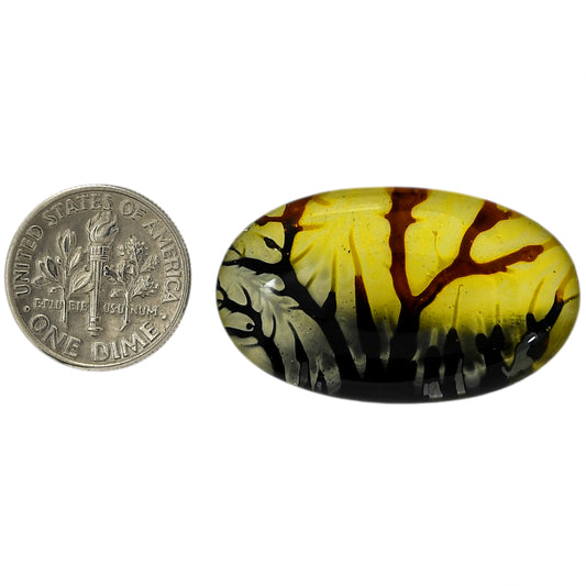 Dendritic Agate Doublet 20.6x34.55x7.3 mm Oval Shape Polished Gemstone LS127-06545
