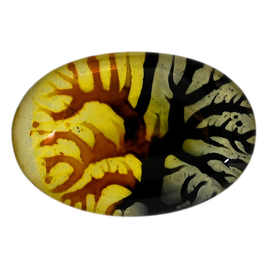 Dendritic Agate Doublet 21.8x32.2x7 mm Oval Shape Polished Gemstone LS127-06546