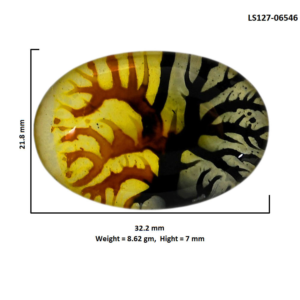 Dendritic Agate Doublet 21.8x32.2x7 mm Oval Shape Polished Gemstone LS127-06546