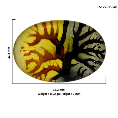Dendritic Agate Doublet 21.8x32.2x7 mm Oval Shape Polished Gemstone LS127-06546