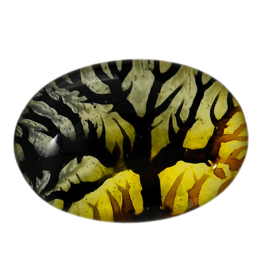 Dendritic Agate Doublet 20.2x29.2x7 mm Oval Shape Polished Gemstone LS127-06547