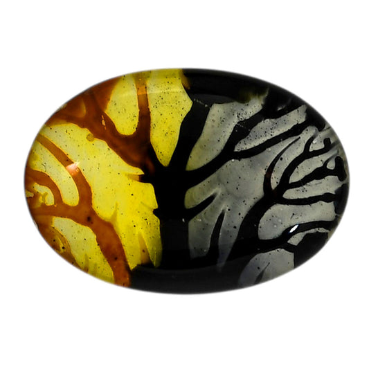 Dendritic Agate Doublet 21.5x30.85x7.5 mm Oval Shape Polished Gemstone LS127-06548