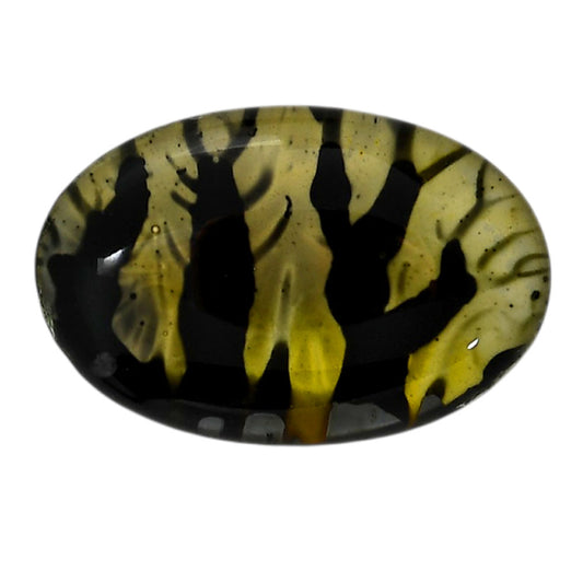 Dendritic Agate Doublet 20.8x31.6x7.4 mm Oval Shape Polished Gemstone LS127-06549