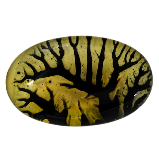 Dendritic Agate Doublet 21.15x34.6x7.3 mm Oval Shape Polished Gemstone LS127-06550
