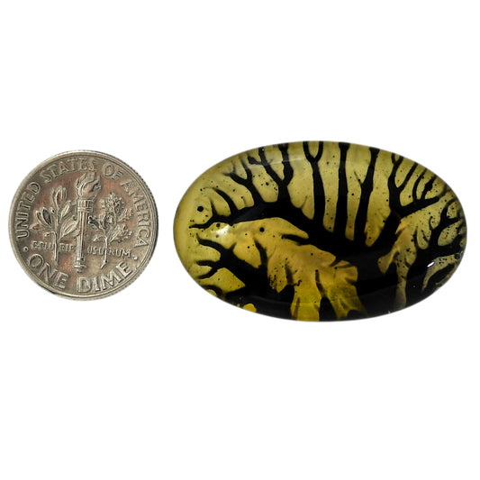 Dendritic Agate Doublet 21.15x34.6x7.3 mm Oval Shape Polished Gemstone LS127-06550