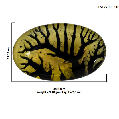 Dendritic Agate Doublet 21.15x34.6x7.3 mm Oval Shape Polished Gemstone LS127-06550